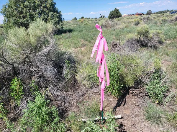 a view of a green field