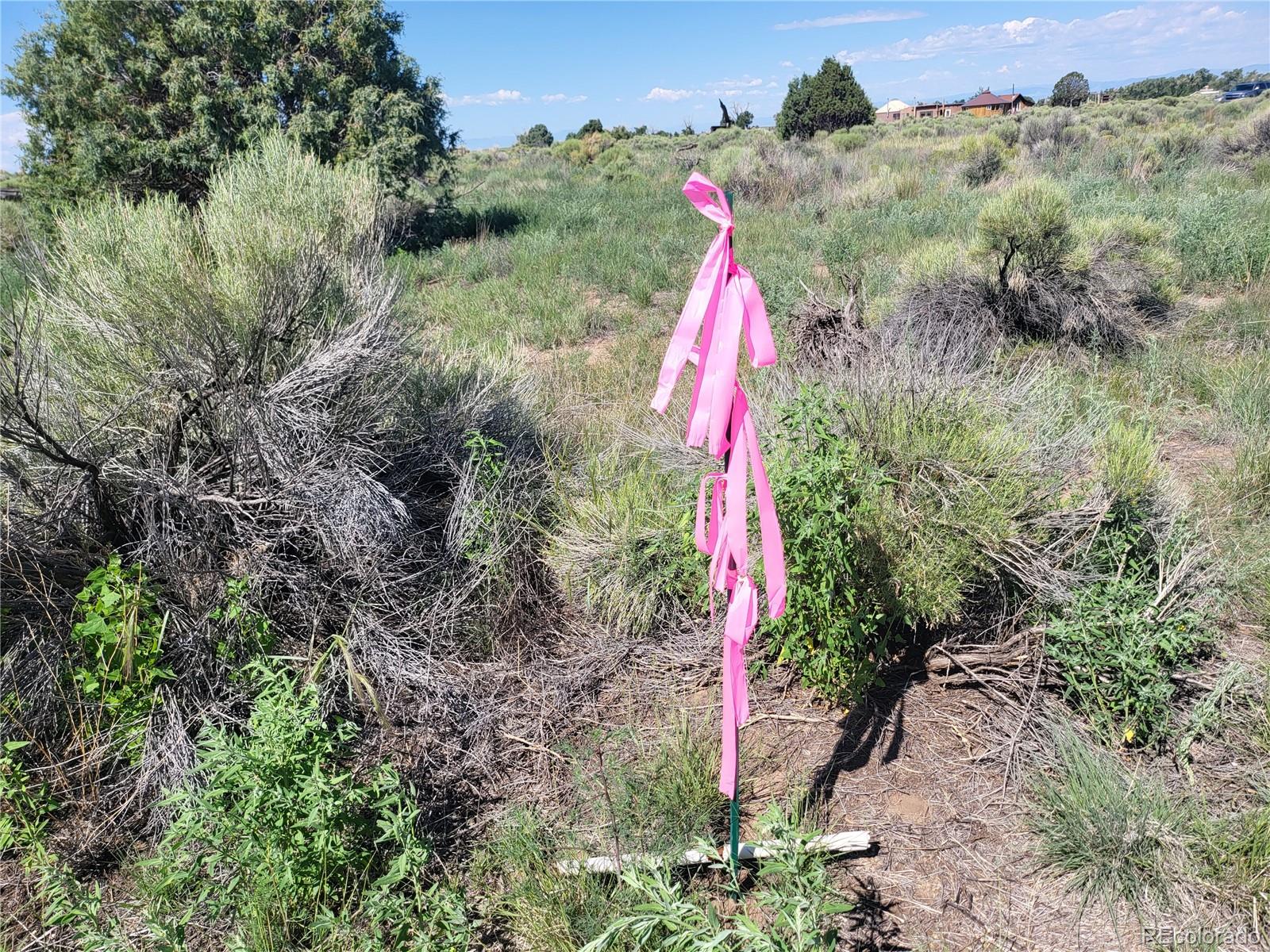 993 Pinon Road Crestone, CO 81131 - Photo 15 of 42