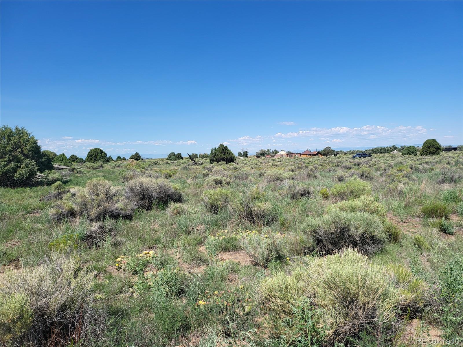 993 Pinon Road Crestone, CO 81131 - Photo 16 of 42 a view of a green field