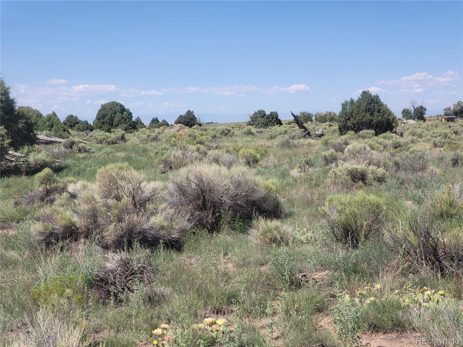 993 Pinon Road Crestone, CO 81131 - Photo 17 of 42 a view of a sky view