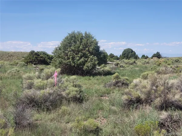 a view of a field of grass and trees
