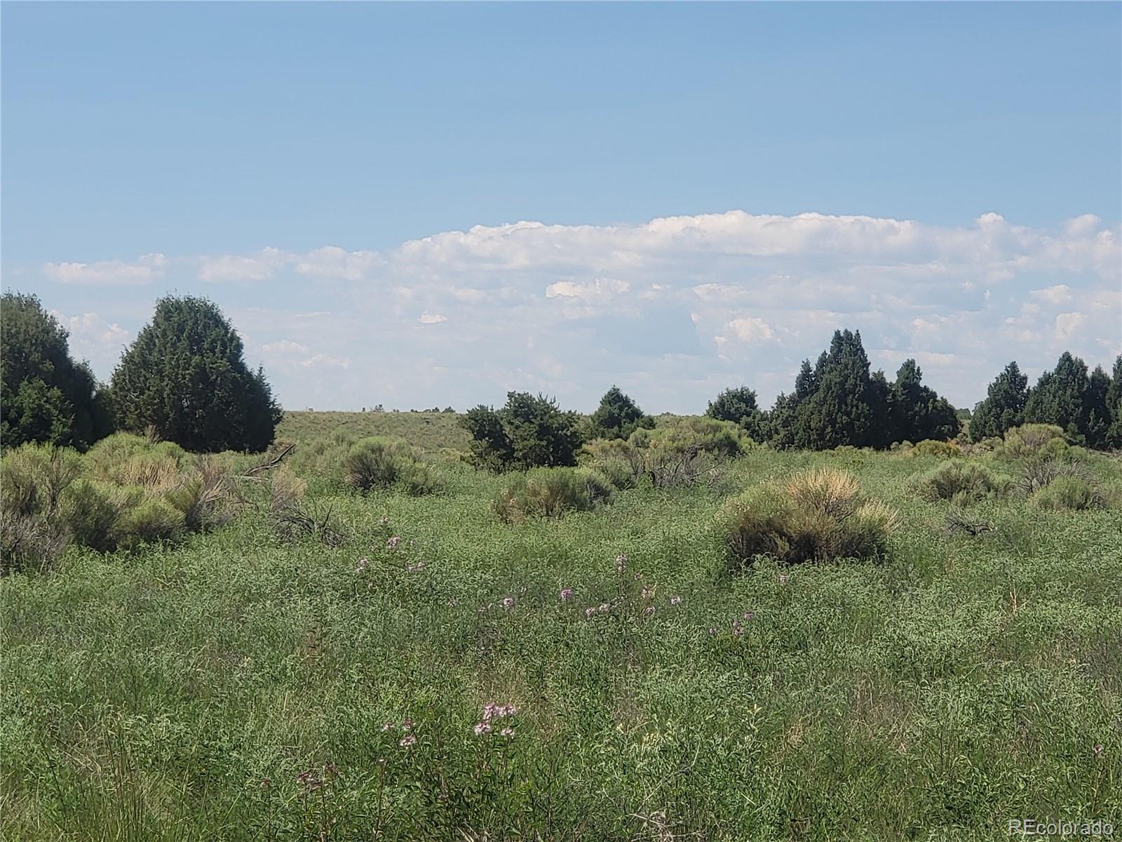 993 Pinon Road Crestone, CO 81131 - Photo 22 of 42 a view of a field of grass and trees