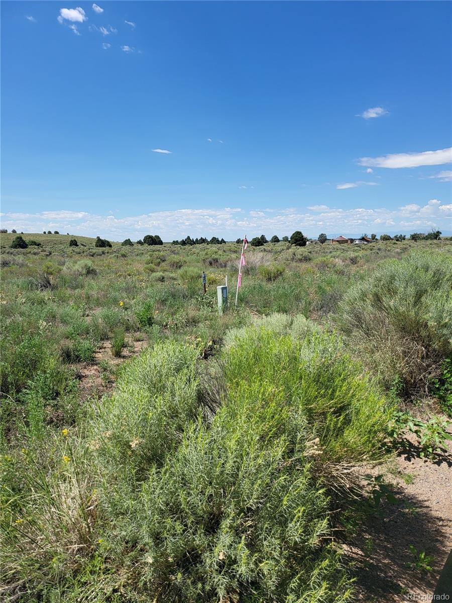 993 Pinon Road Crestone, CO 81131 - Photo 30 of 42 a view of a city with lush green forest