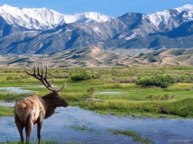 993 Pinon Road Crestone, CO 81131 - Photo 40 of 42 a view of a backyard