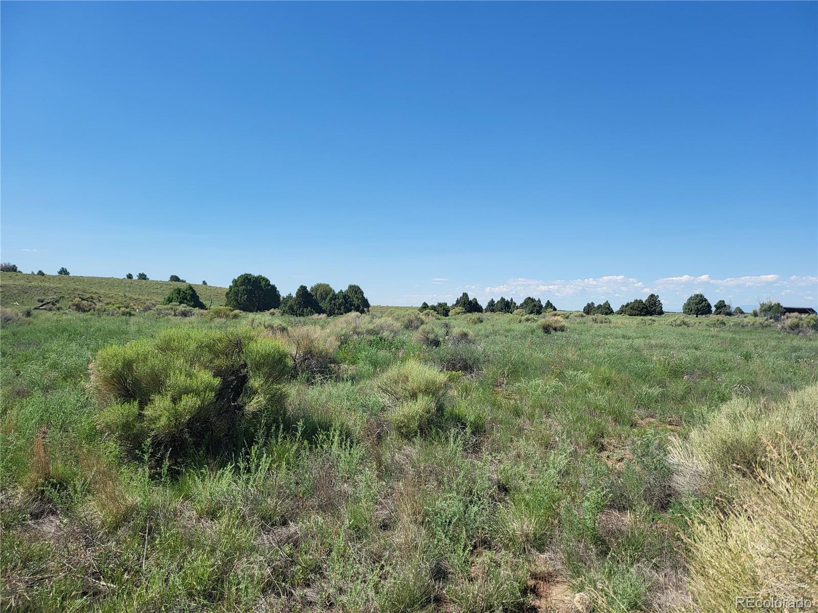 993 Pinon Road Crestone, CO 81131 - Photo 10 of 42 a view of a green field with trees in the background