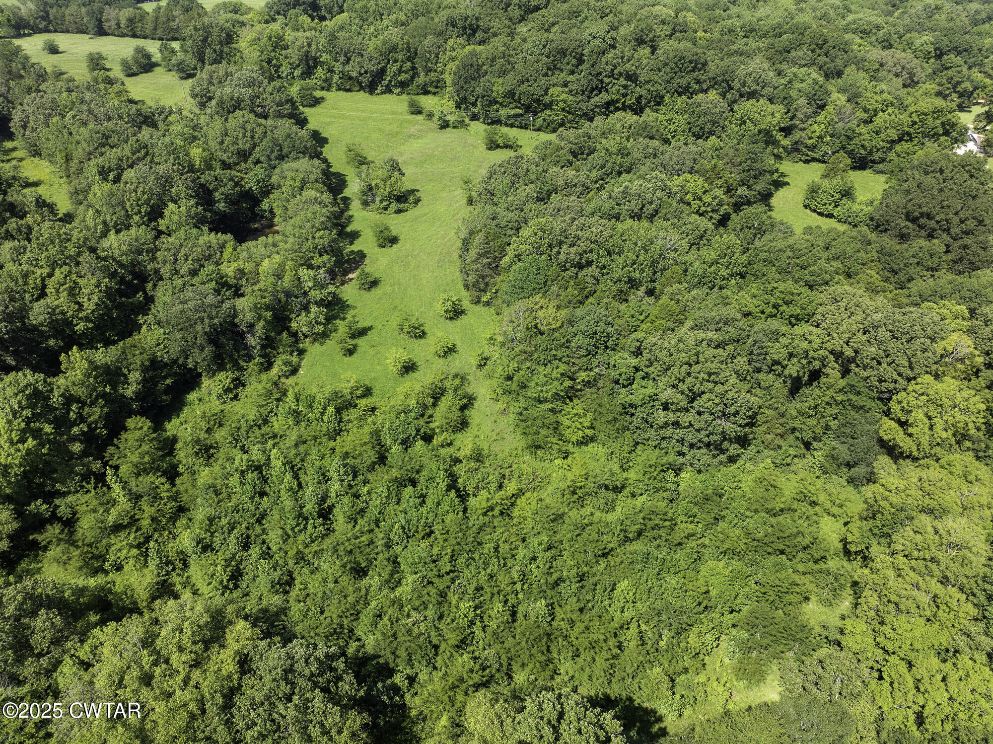 0 Cub Creek Hall Road Parsons, TN 38363 - Photo 18 of 19 DJI_20250722104651_0211_D