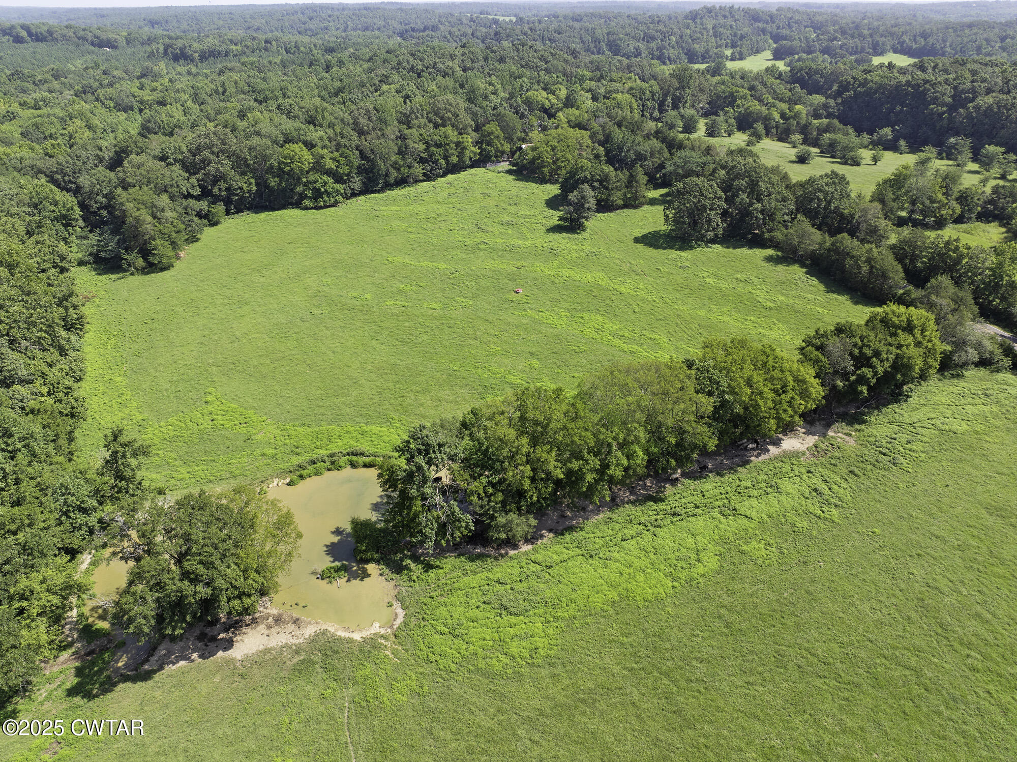 0 Cub Creek Hall Road Parsons, TN 38363 - Photo 7 of 19 DJI_20250722104141_0202_D