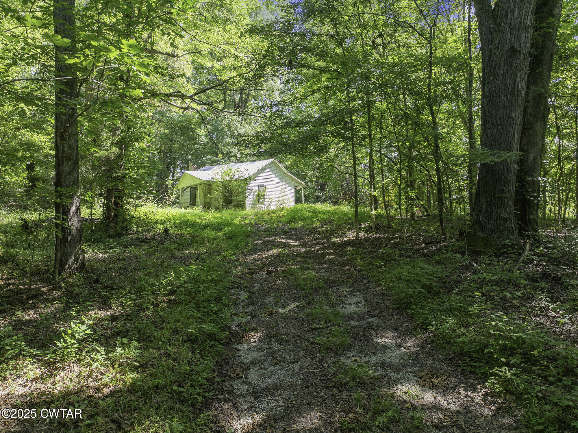 0 Cub Creek Hall Road Parsons, TN 38363 - Photo 9 of 19 DJI_20250722105419_0213_D