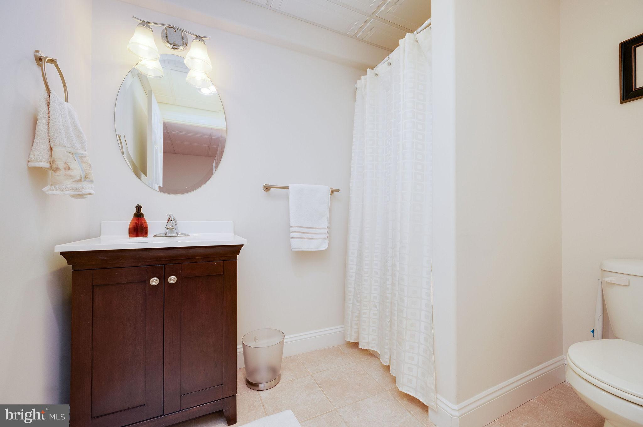 20 Winding Brook Drive Sinking Spring, PA 19608 - Photo 49 of 62