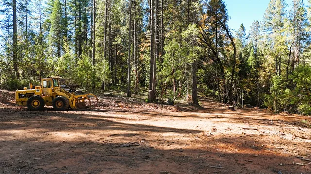 a view of outdoor space with trees