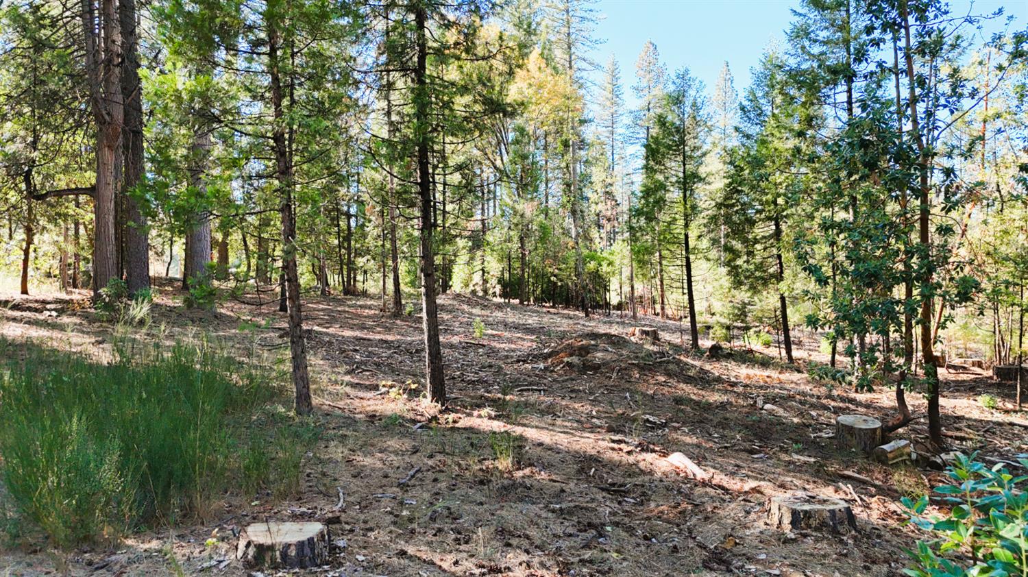 13492 Gracie Road Nevada City, CA 95959 - Photo 13 of 60 a view of backyard with green space
