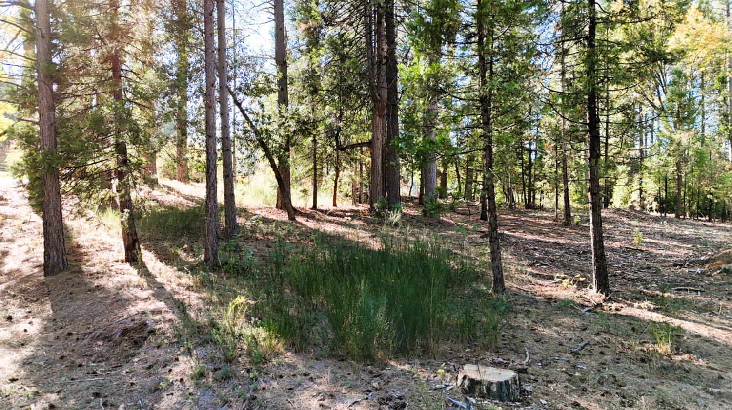 13492 Gracie Road Nevada City, CA 95959 - Photo 14 of 60