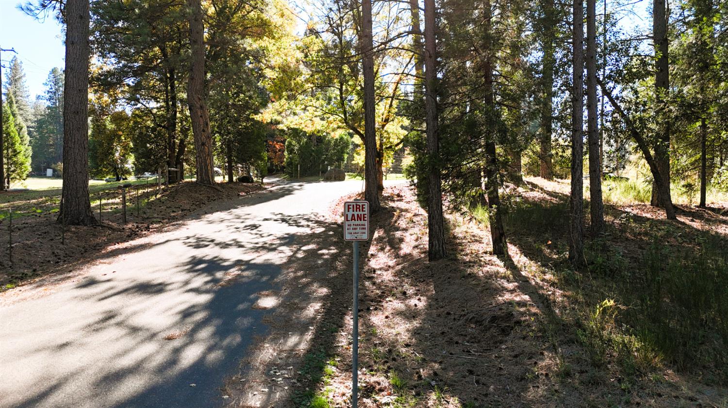 13492 Gracie Road Nevada City, CA 95959 - Photo 15 of 60 a view of outdoor space and trees