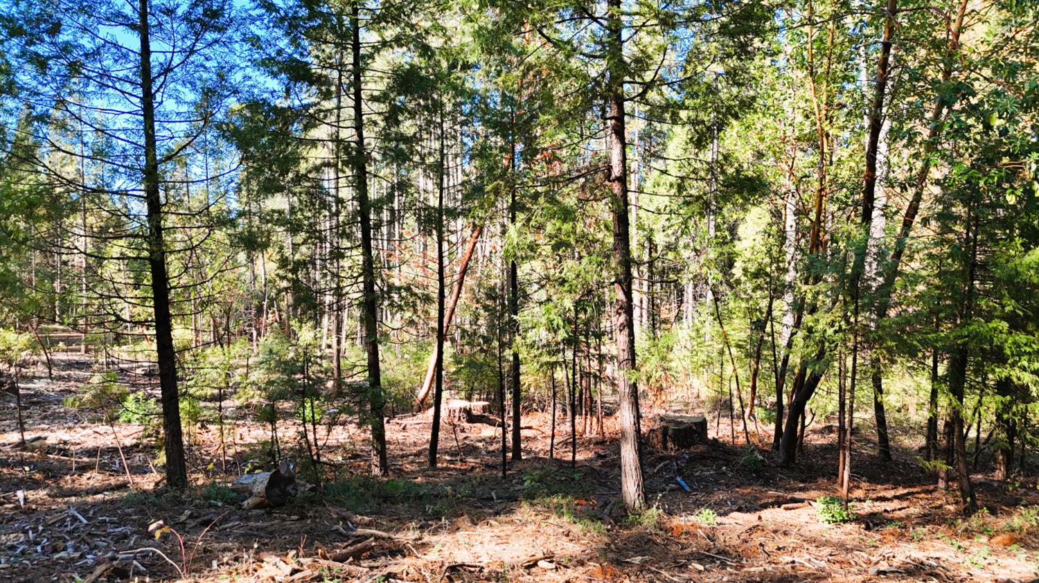 13492 Gracie Road Nevada City, CA 95959 - Photo 18 of 60 a view of outdoor space with yard