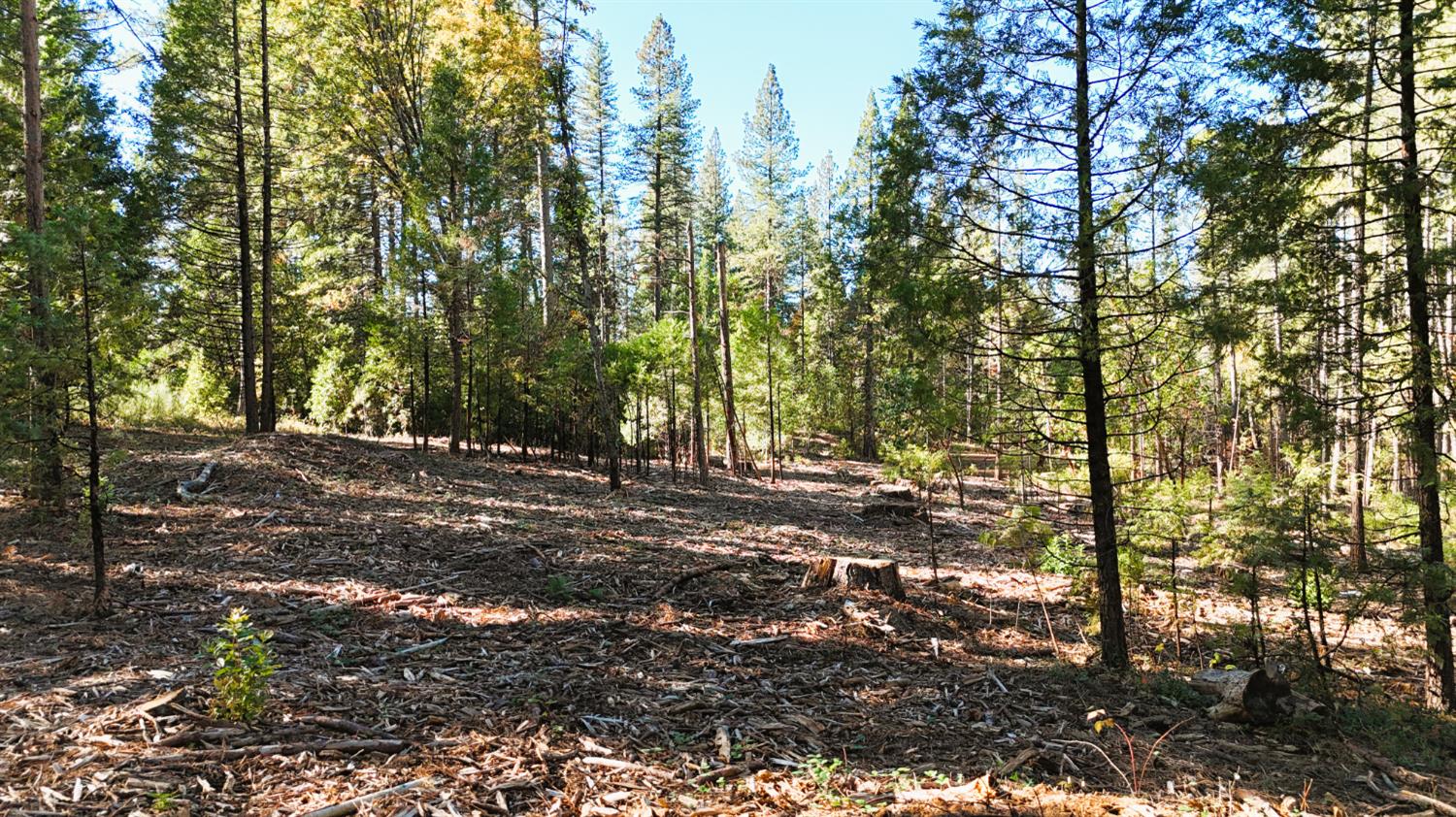 13492 Gracie Road Nevada City, CA 95959 - Photo 19 of 60 a view of outdoor space and yard