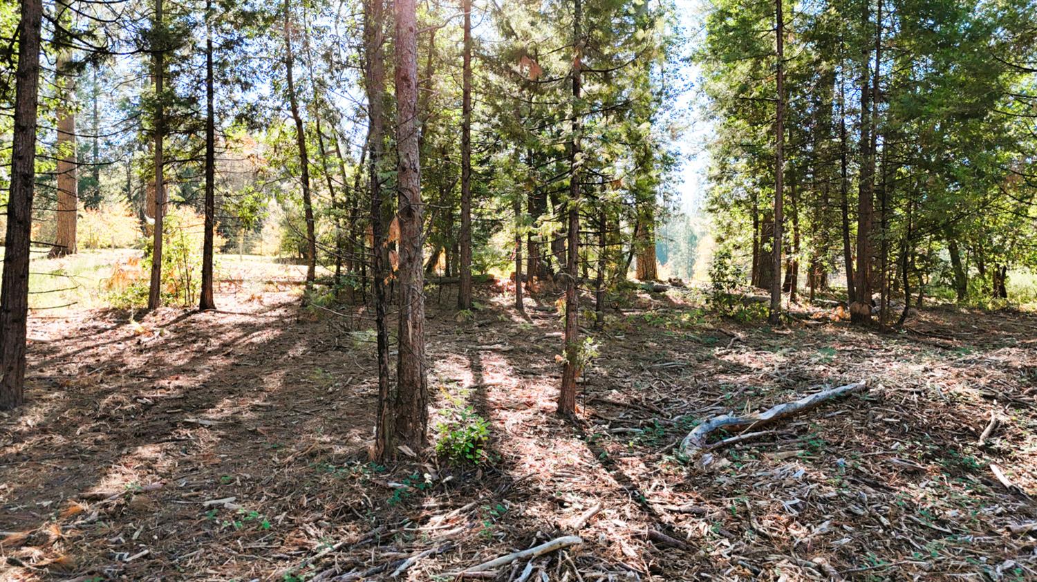 13492 Gracie Road Nevada City, CA 95959 - Photo 23 of 60 a backyard of a house with lots of green space
