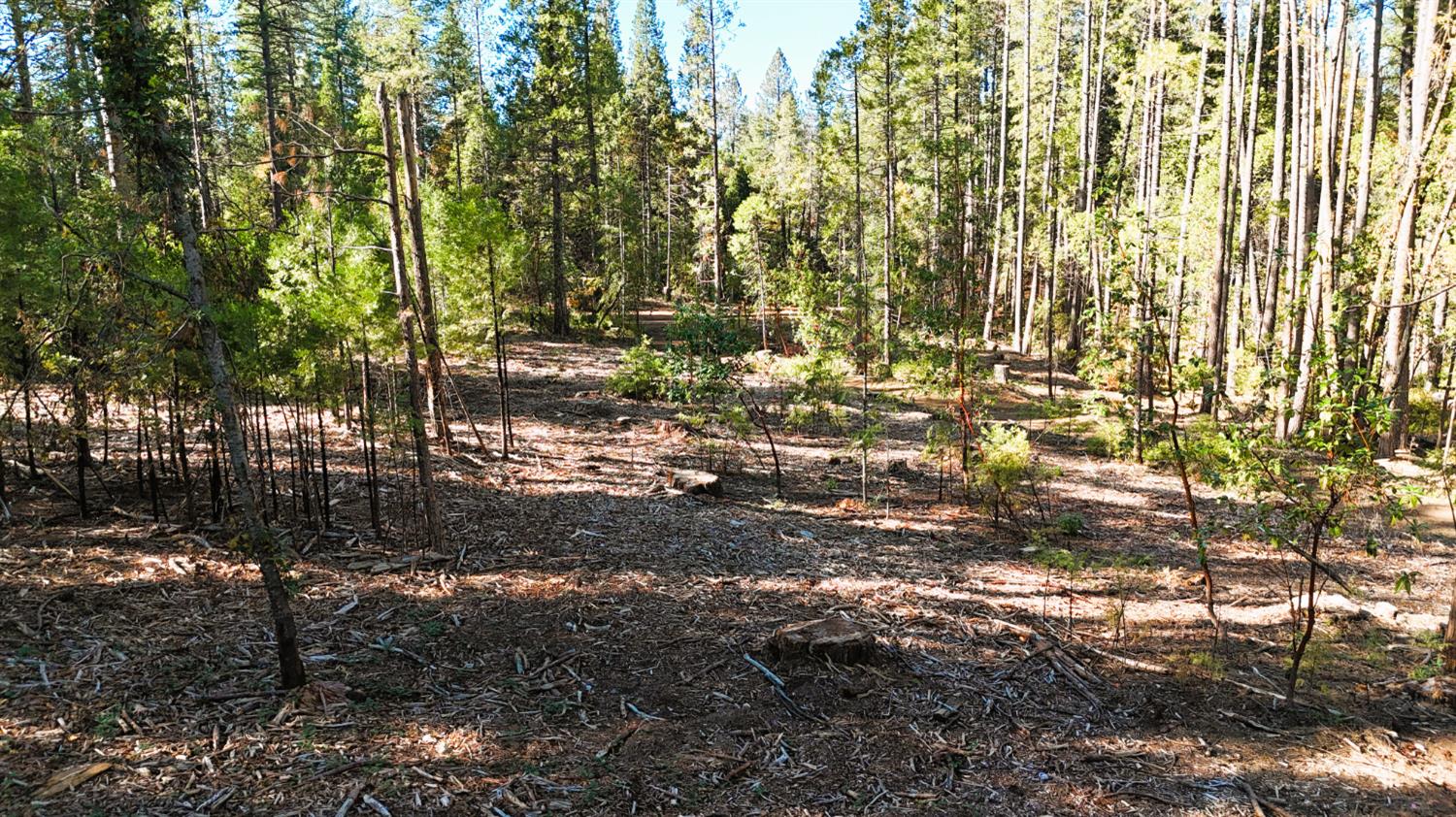 13492 Gracie Road Nevada City, CA 95959 - Photo 27 of 60