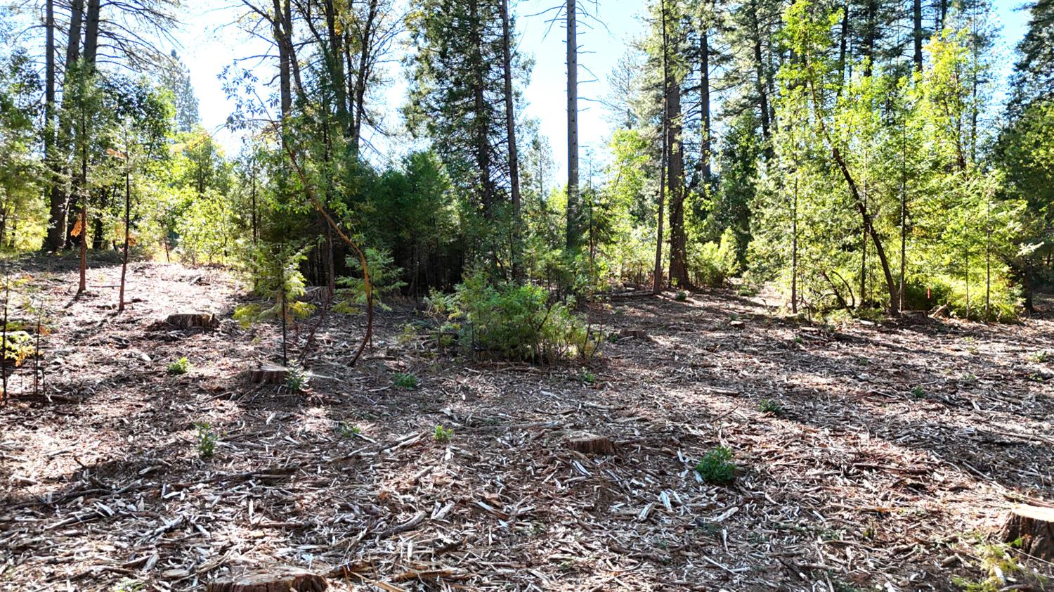 13492 Gracie Road Nevada City, CA 95959 - Photo 30 of 60 a view of outdoor space and trees