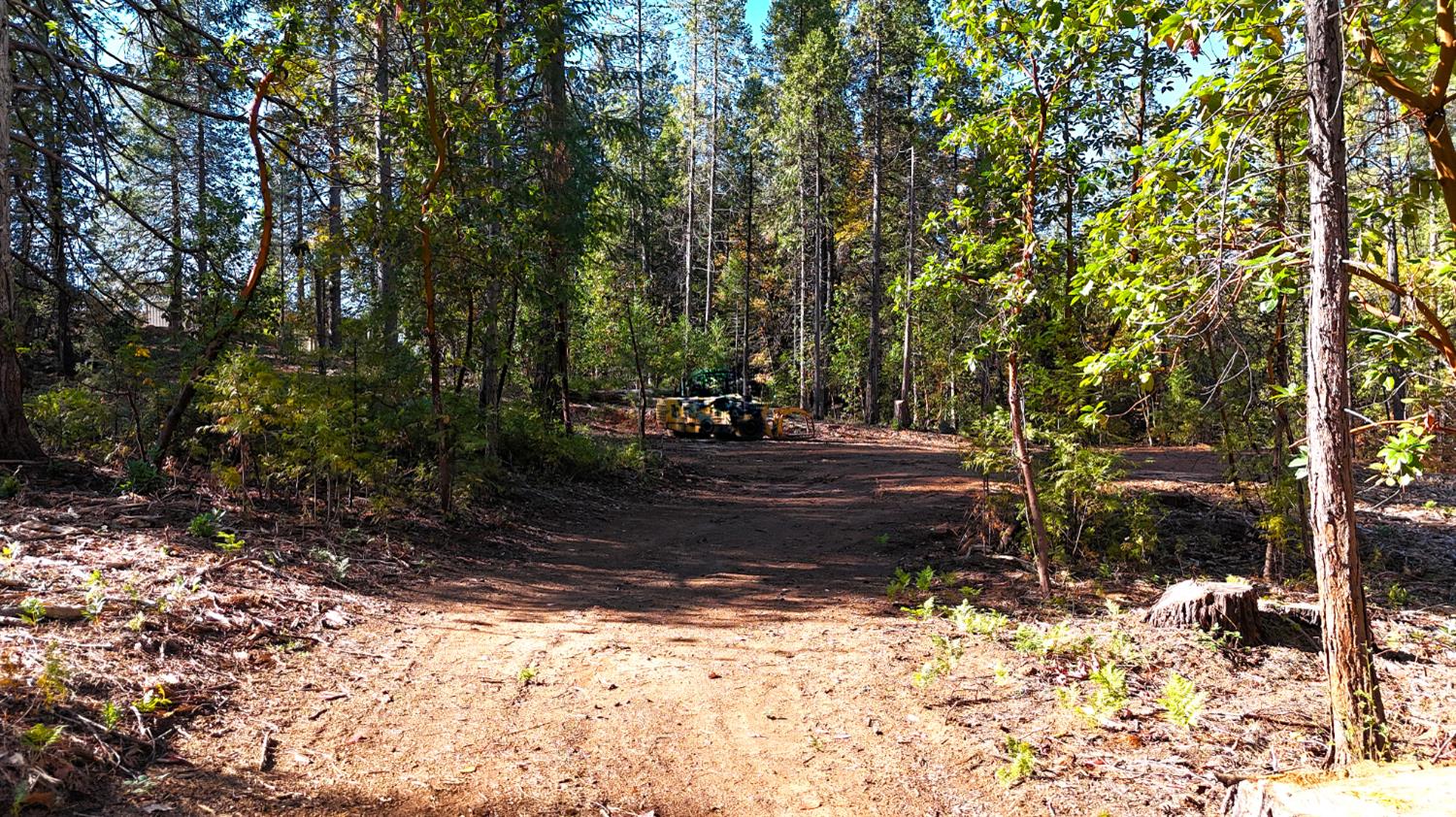 13492 Gracie Road Nevada City, CA 95959 - Photo 32 of 60 a view of a yard with plants and trees
