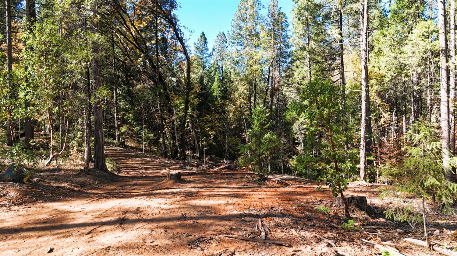 13492 Gracie Road Nevada City, CA 95959 - Photo 34 of 60 a view of house with backyard and trees