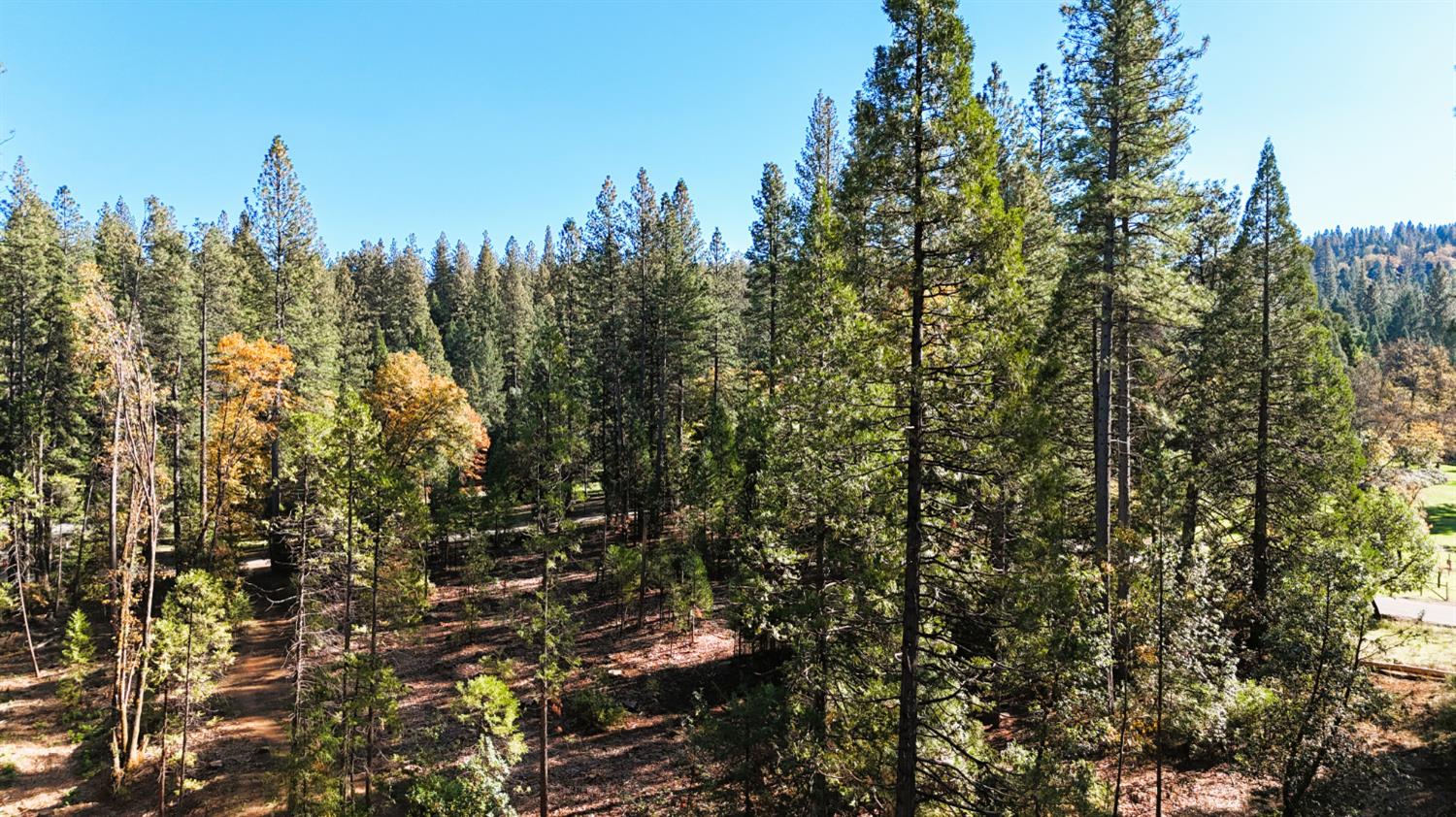 13492 Gracie Road Nevada City, CA 95959 - Photo 36 of 60 a view of a city with lush green forest
