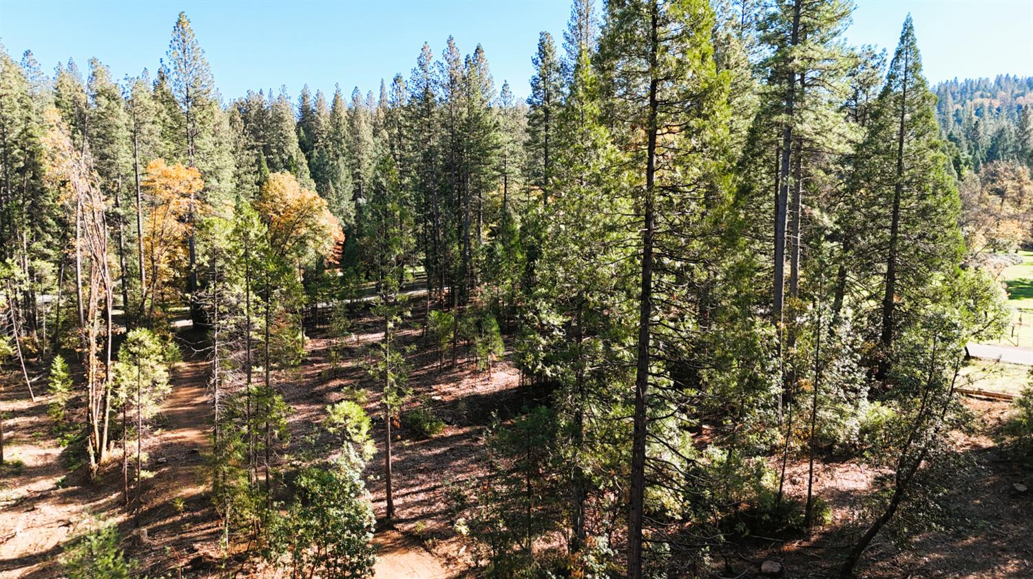 13492 Gracie Road Nevada City, CA 95959 - Photo 38 of 60