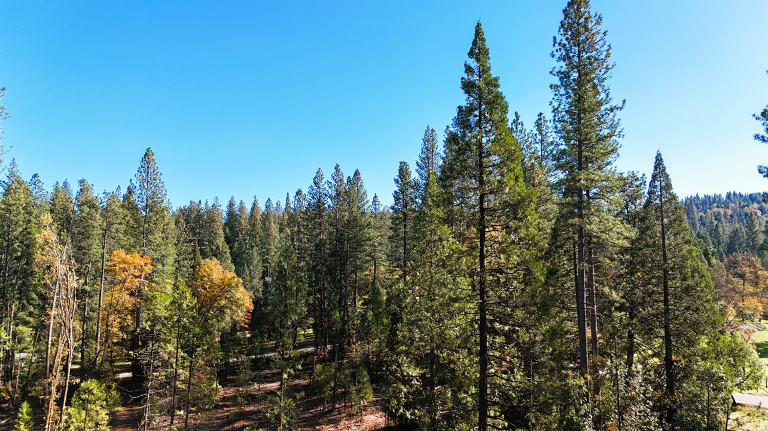 13492 Gracie Road Nevada City, CA 95959 - Photo 39 of 60 a view of a city with lush green forest