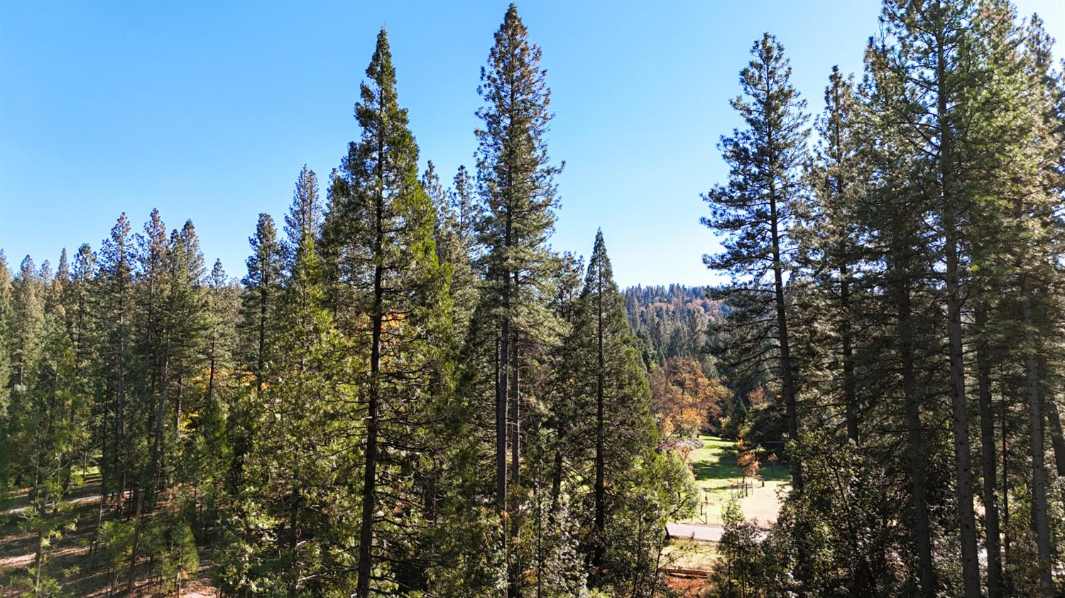 13492 Gracie Road Nevada City, CA 95959 - Photo 40 of 60