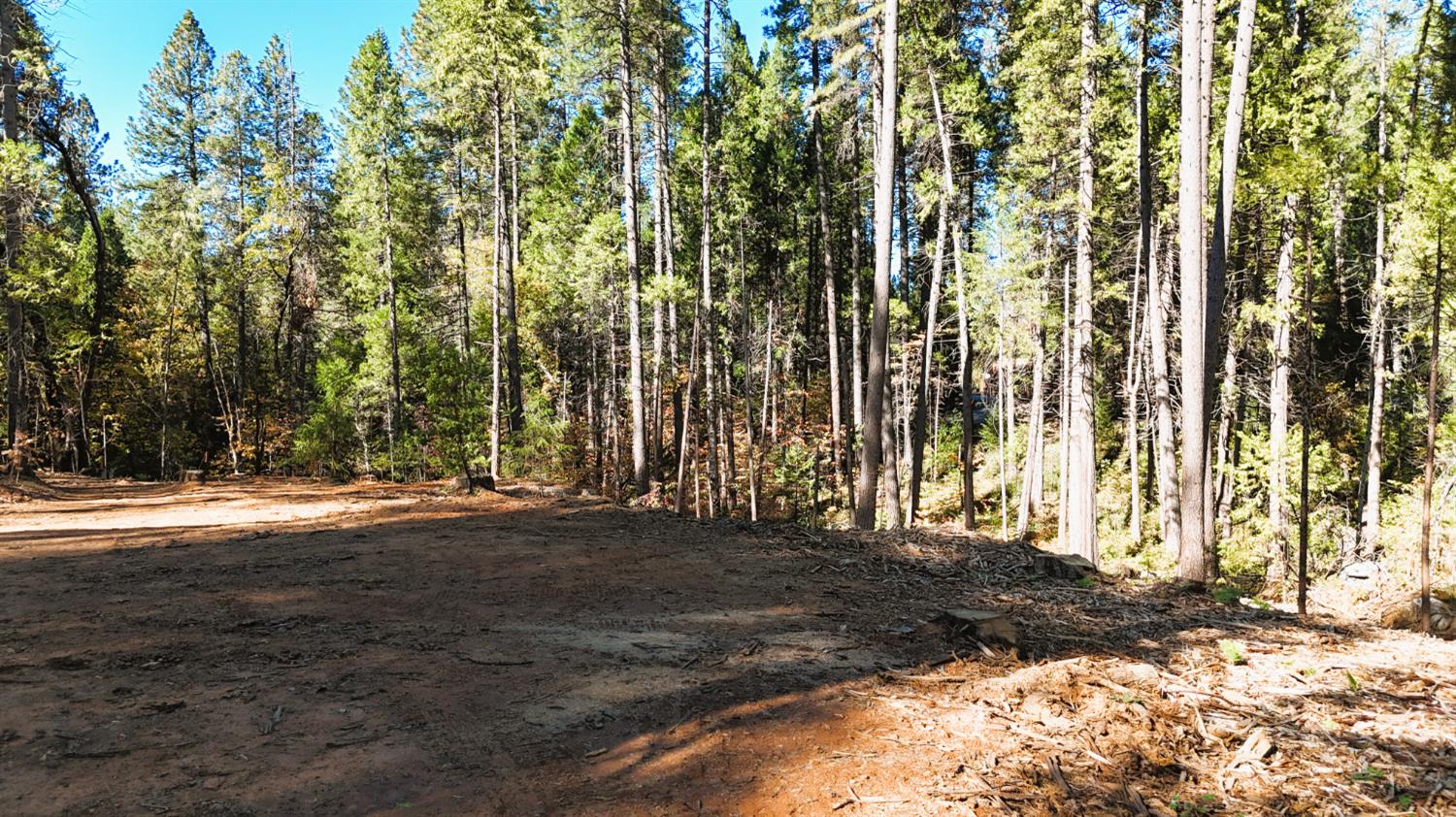 13492 Gracie Road Nevada City, CA 95959 - Photo 4 of 60 a view of outdoor space with deck and tree