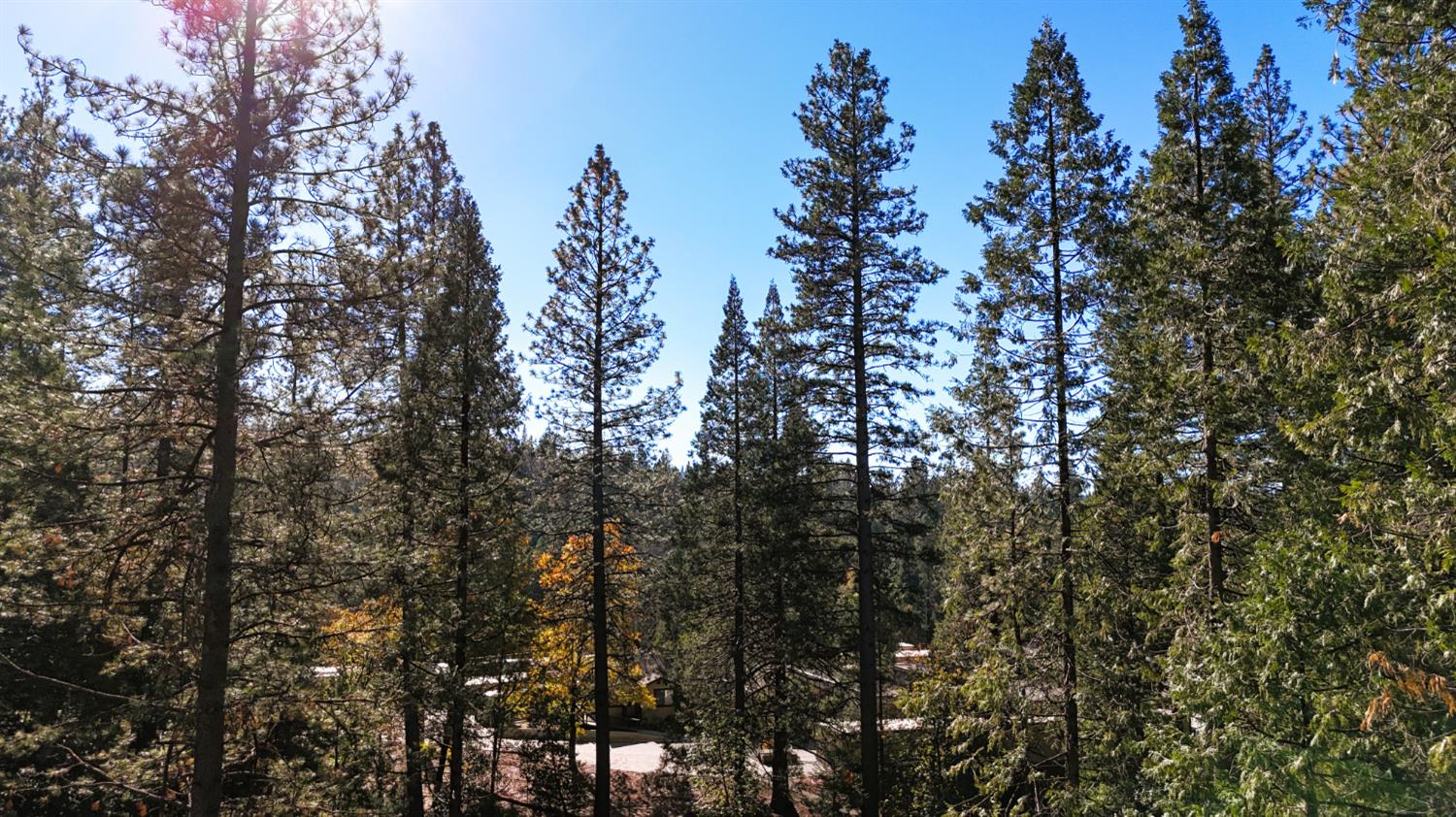 13492 Gracie Road Nevada City, CA 95959 - Photo 41 of 60