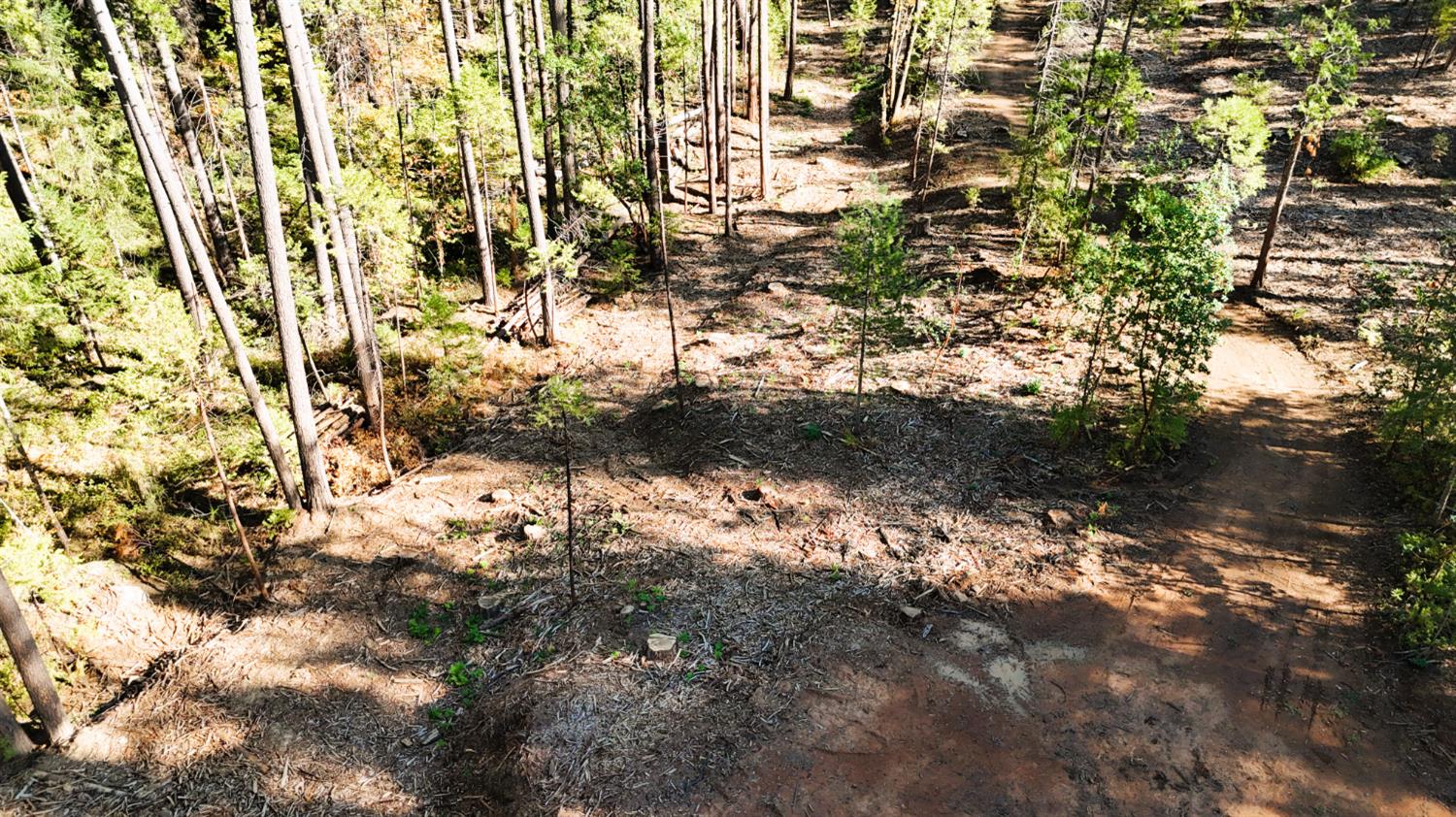 13492 Gracie Road Nevada City, CA 95959 - Photo 46 of 60