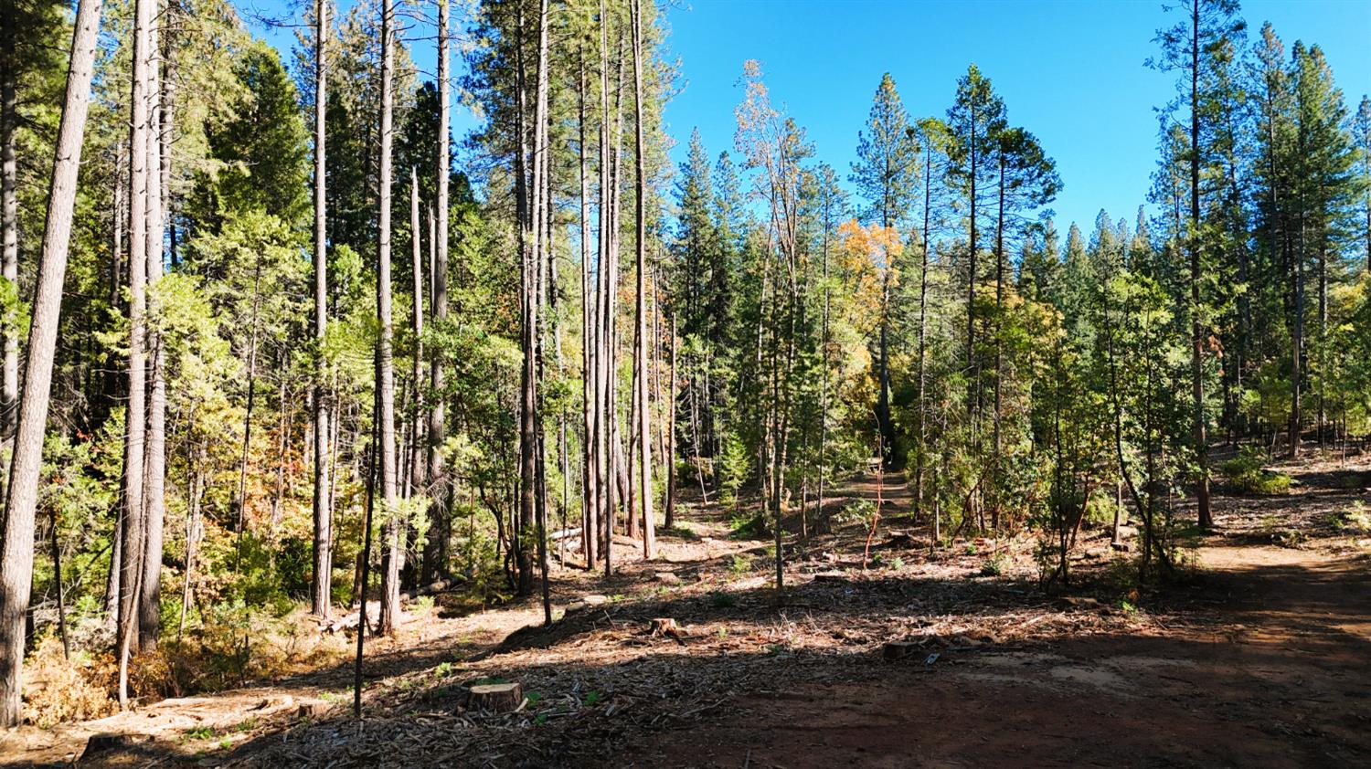 13492 Gracie Road Nevada City, CA 95959 - Photo 48 of 60 a view of a street with a building in the background