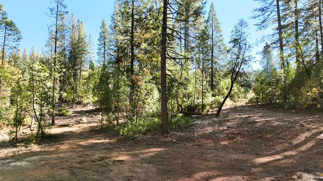a view of backyard with green space