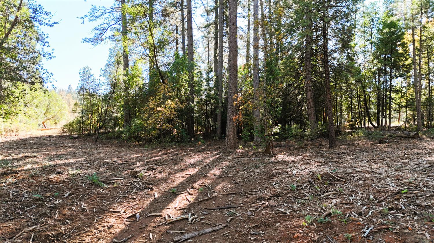 13492 Gracie Road Nevada City, CA 95959 - Photo 50 of 60 a view of outdoor space and trees