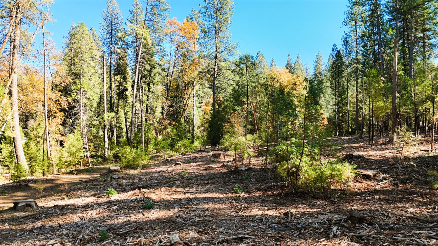 13492 Gracie Road Nevada City, CA 95959 - Photo 54 of 60 a view of backyard