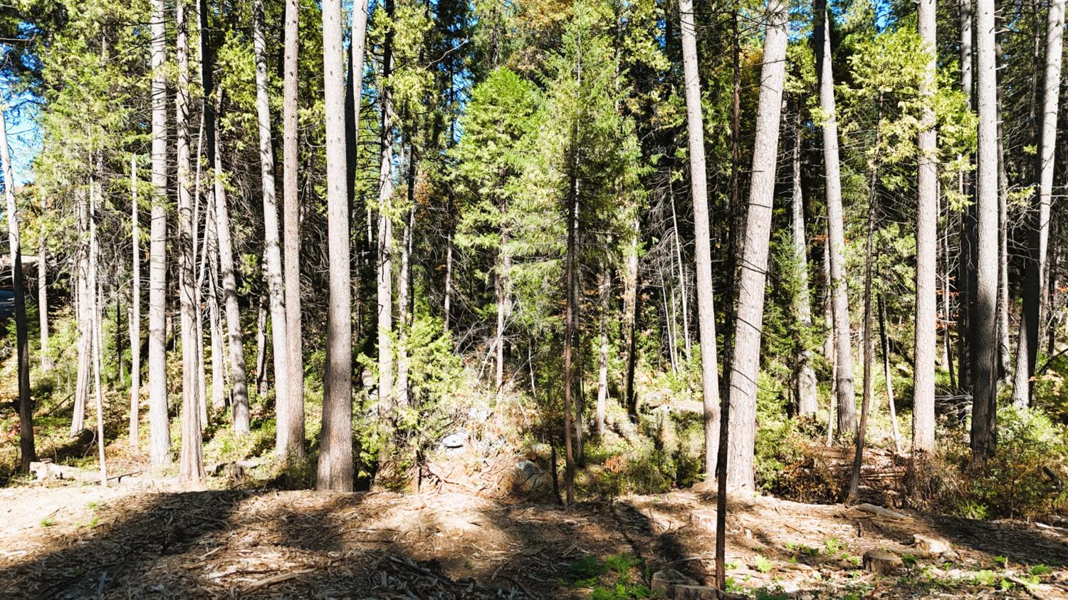 13492 Gracie Road Nevada City, CA 95959 - Photo 7 of 60 a view of bath room