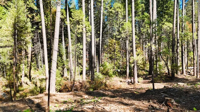 a view of a outdoor space
