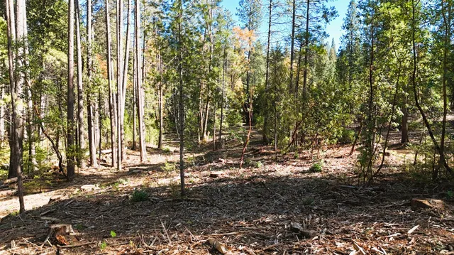 a view of outdoor space and yard