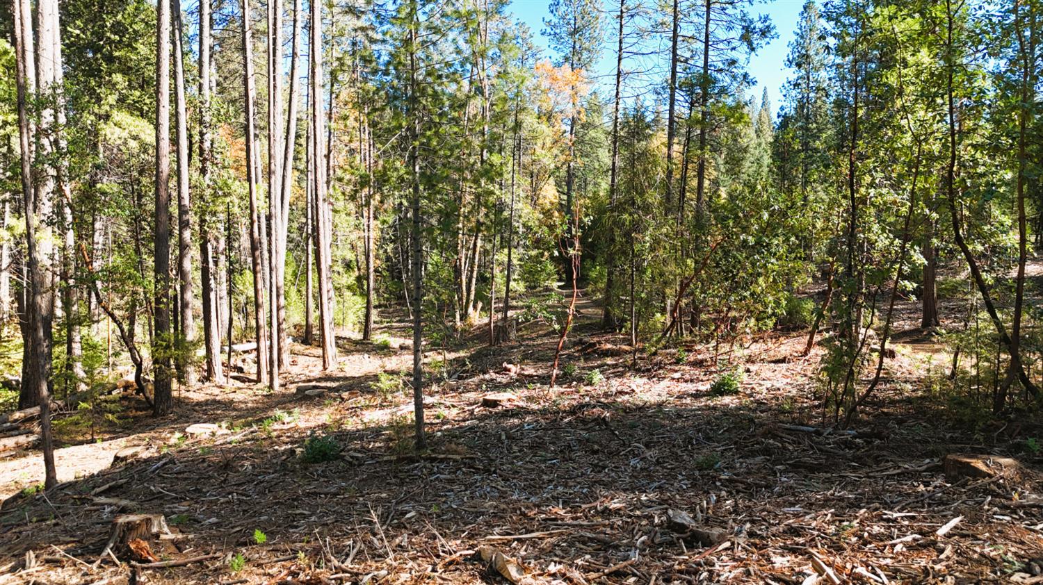 13492 Gracie Road Nevada City, CA 95959 - Photo 10 of 60 a view of outdoor space and yard