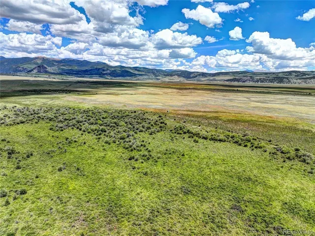 a view of a room with a tree
