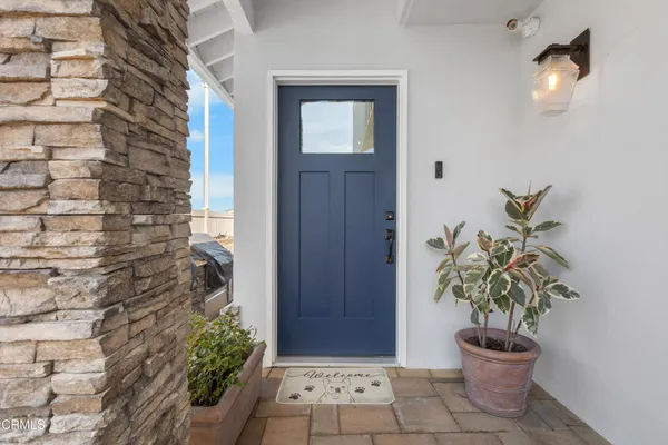 a view of a potted plant in front of a door