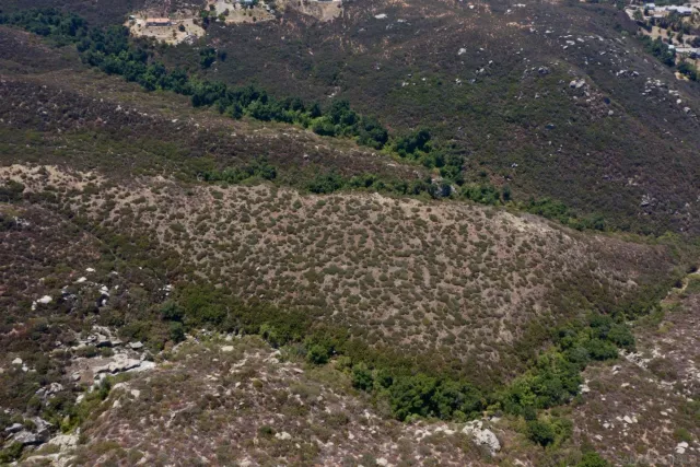 an aerial view of residential house and green space