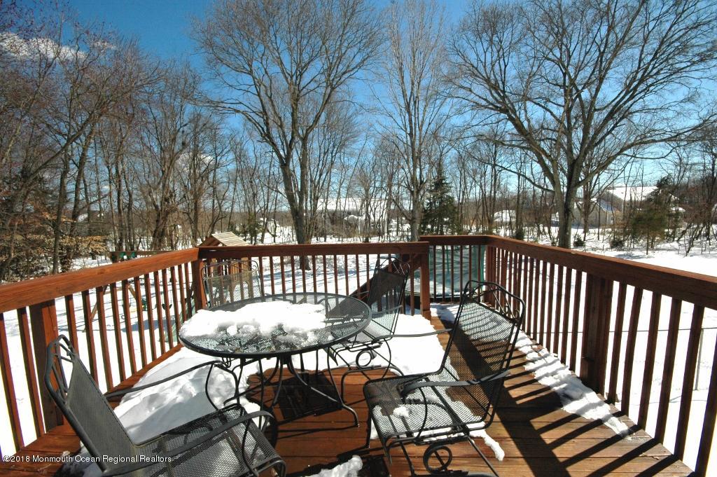 61 Yellow Meetinghouse Road Cream Ridge, NJ 08514 - Photo 29 of 31 DSC_0121 (1024x681)