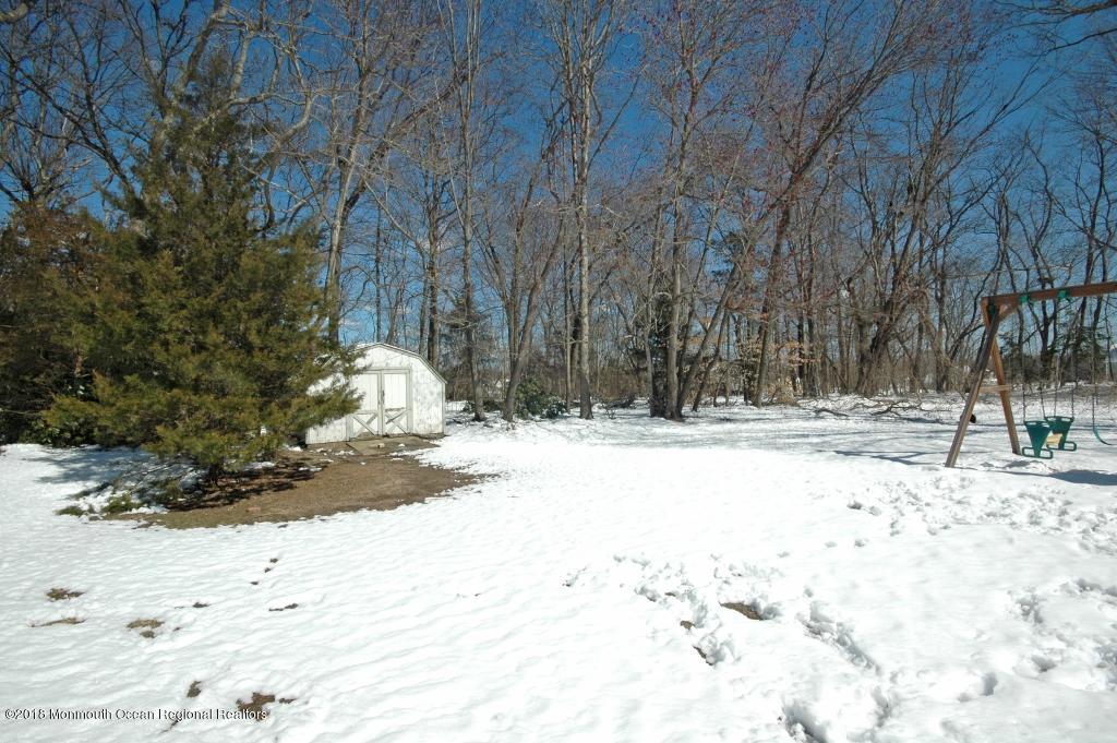 61 Yellow Meetinghouse Road Cream Ridge, NJ 08514 - Photo 30 of 31 DSC_0130 (1024x681)