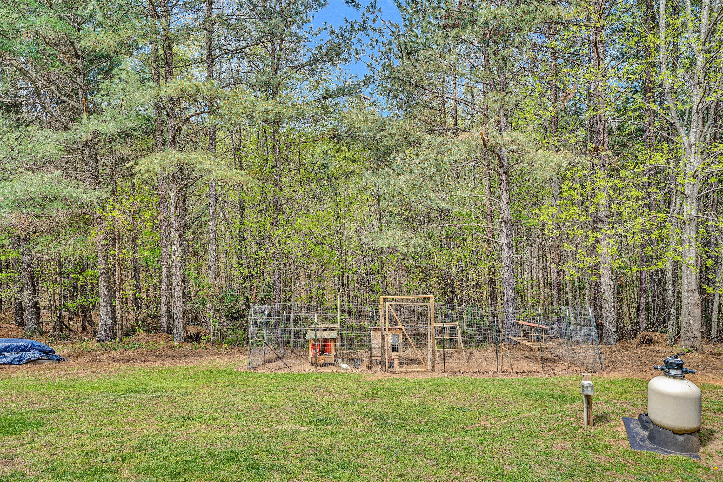 781 Holland Road Callaway, VA 24067 - Photo 31 of 42 a view of a back yard of the house with green space