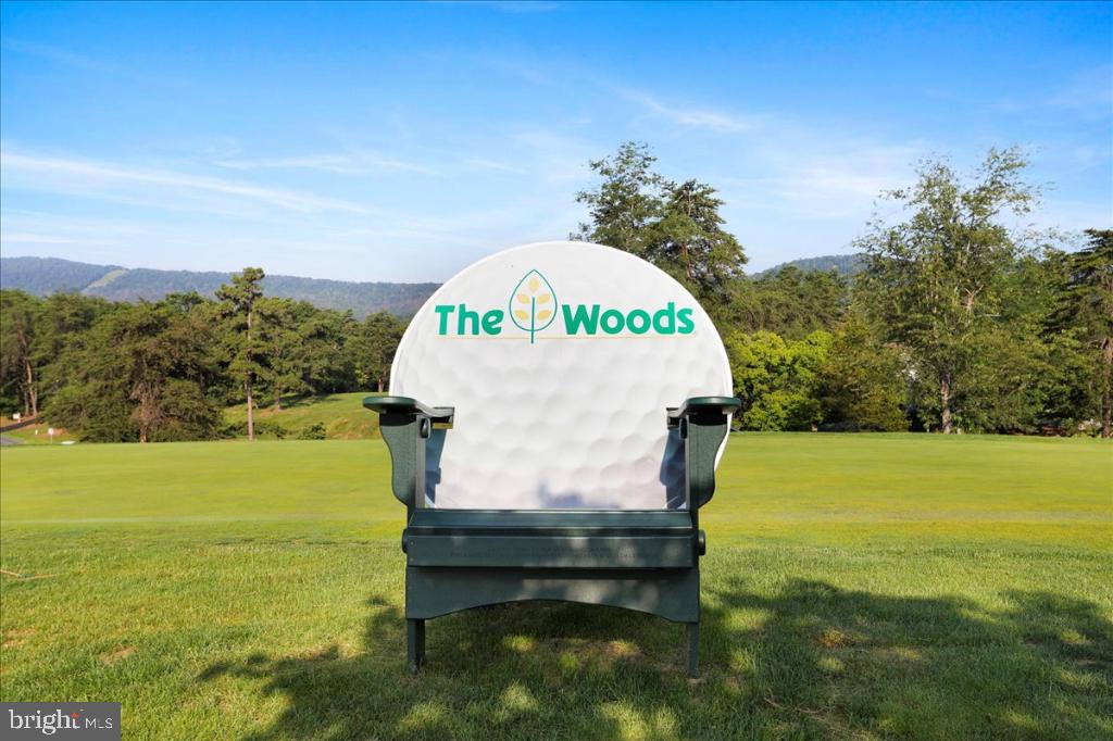 169 Arrowhead Loop Hedgesville, WV 25427 - Photo 17 of 24 a view of ocean view with a big yard