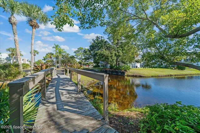 a view of a lake with a large trees