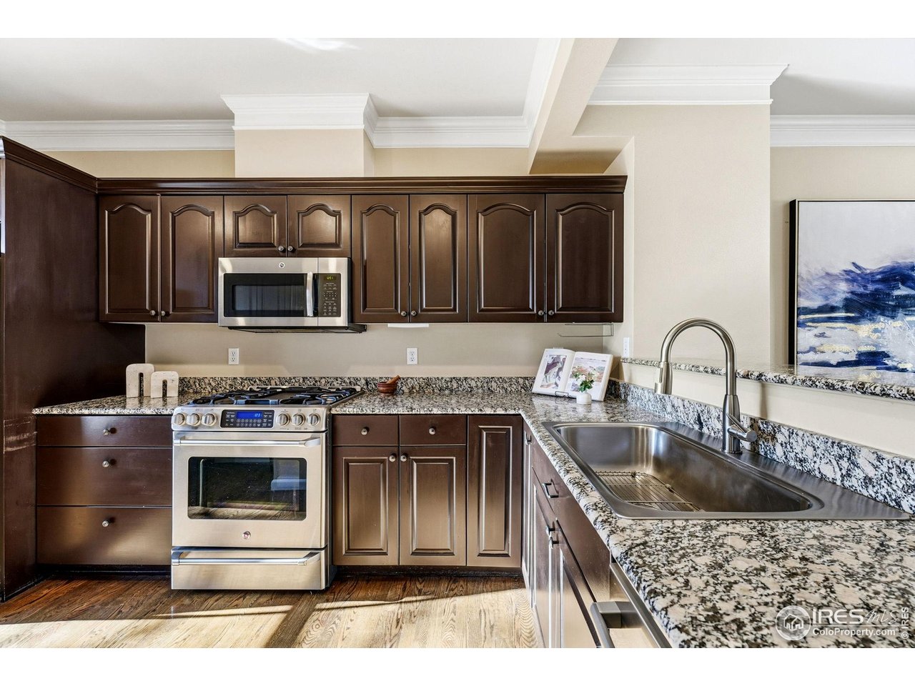 944 Ivanhoe Street Denver, CO 80220 - Photo 11 of 50 Stainless appliances and granite counters