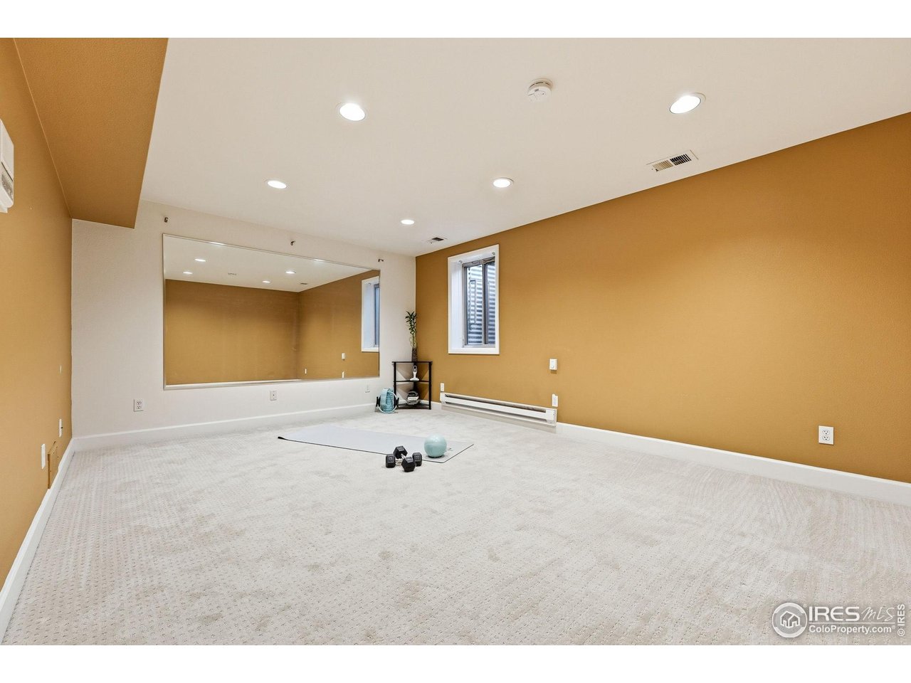 944 Ivanhoe Street Denver, CO 80220 - Photo 29 of 50 Non-conforming bedroom/flexspace