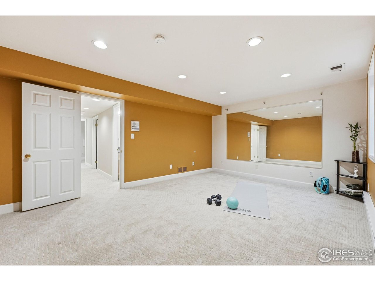 944 Ivanhoe Street Denver, CO 80220 - Photo 30 of 50 Non-conforming bedroom/flexspace